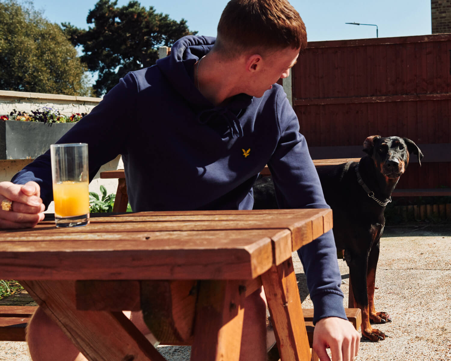 Dog in pub beer garden, by lifestyle photographer 