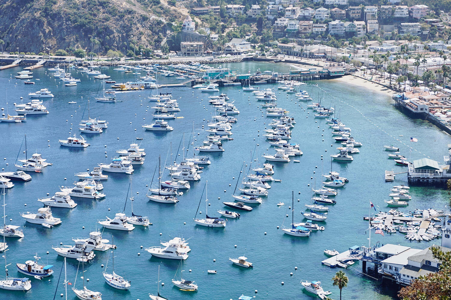 Many small yachts  by lifestyle photographer Tim Cole 